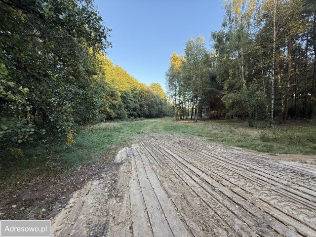 Działka budowlana Przyłęk. Zdjęcie 1