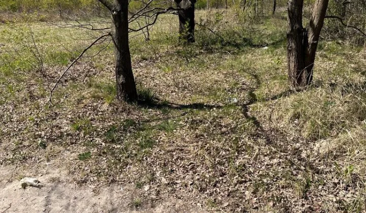 Działka rolna Radom Potkanów, ul. Stalowa