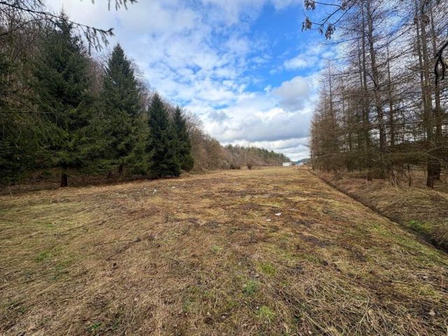 Działka budowlana Tyrawa Solna. Zdjęcie 1