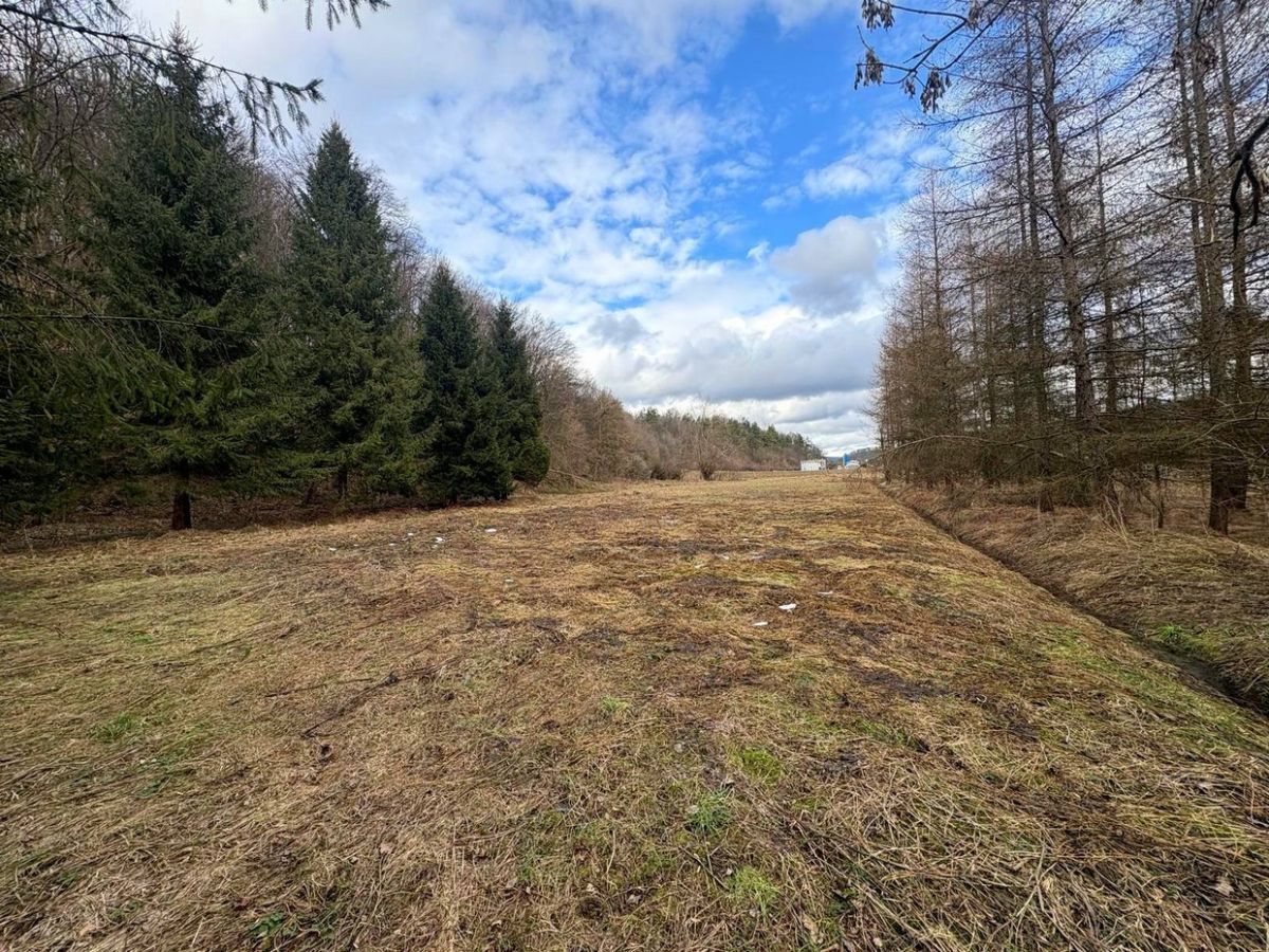 Działka budowlana Tyrawa Solna. Zdjęcie 1