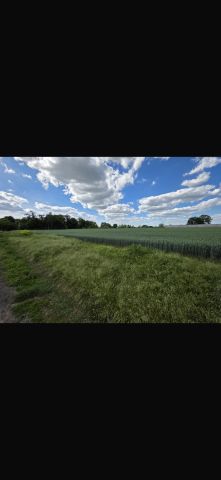 Działka budowlana Turów, ul. Bursztynowa. Zdjęcie 1