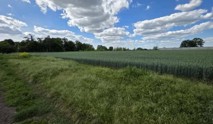 Działka budowlana Turów, ul. Bursztynowa