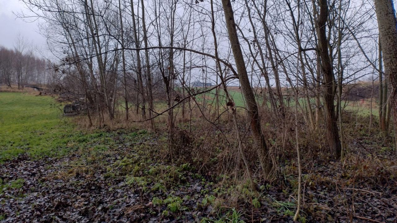 Działka budowlana Targowisko. Zdjęcie 14