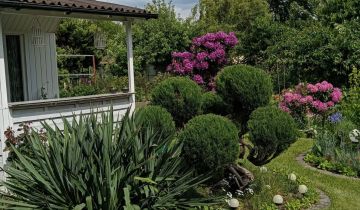 Działka rod Kalisz Szczypiorno, ul. Pogodna