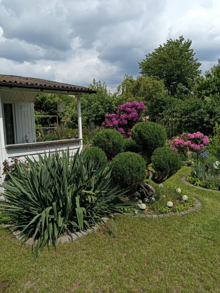 Działka rod Kalisz Szczypiorno, ul. Pogodna. Zdjęcie 2