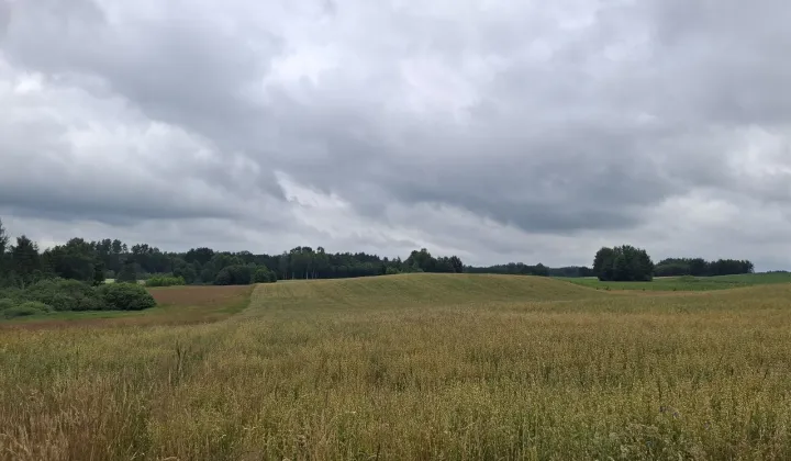 Działka rolna Pluty