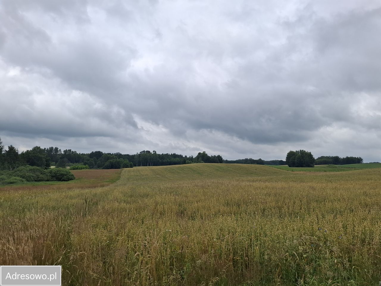 Działka rolna Pluty