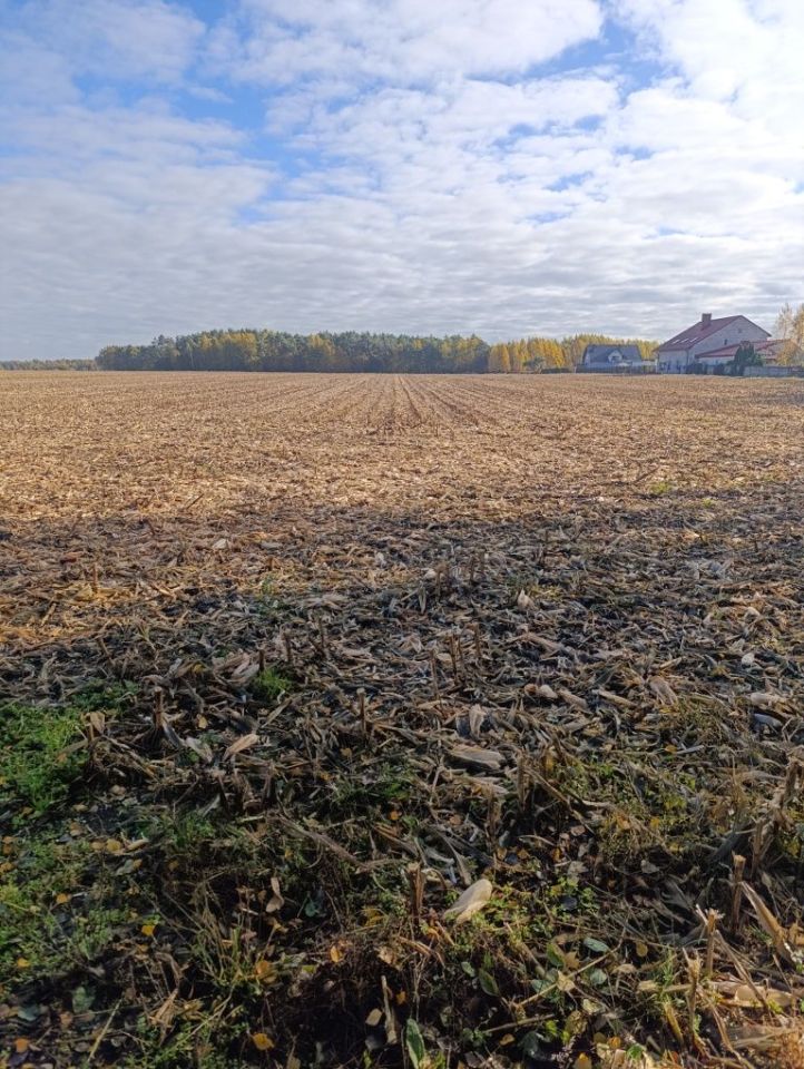 Działka rolno-budowlana Słoszewo-Kolonia. Zdjęcie 3