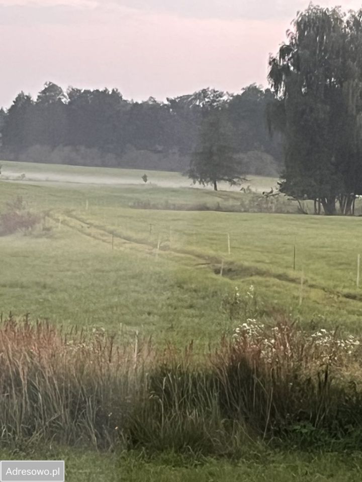 gospodarstwo, 6 pokoi Juchnajcie. Zdjęcie 19