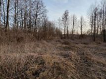 Działka rekreacyjna Wola Jabłońska. Zdjęcie 2