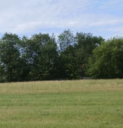 Działka rekreacyjna Klusek, Klusek. Zdjęcie 1