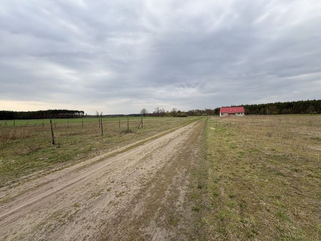 Działka budowlana Sulęcinek, ul. Lipowa. Zdjęcie 1