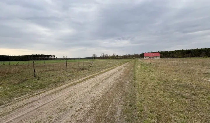 Działka budowlana Sulęcinek, ul. Lipowa