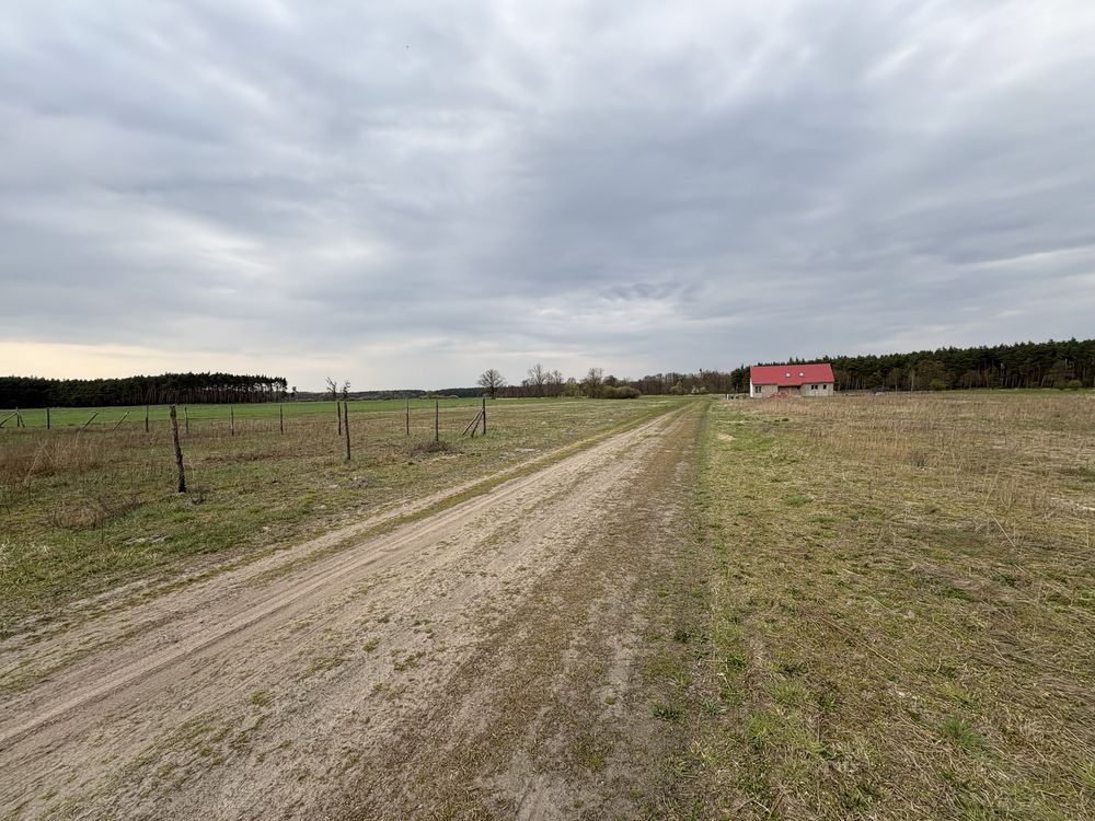 Działka budowlana Sulęcinek, ul. Lipowa. Zdjęcie 1