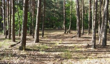 Działka budowlana Pawłowa, ul. Podleśna