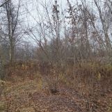 Działka rolno-budowlana Warszawa Wawer, ul. Mirtowa. Zdjęcie 2