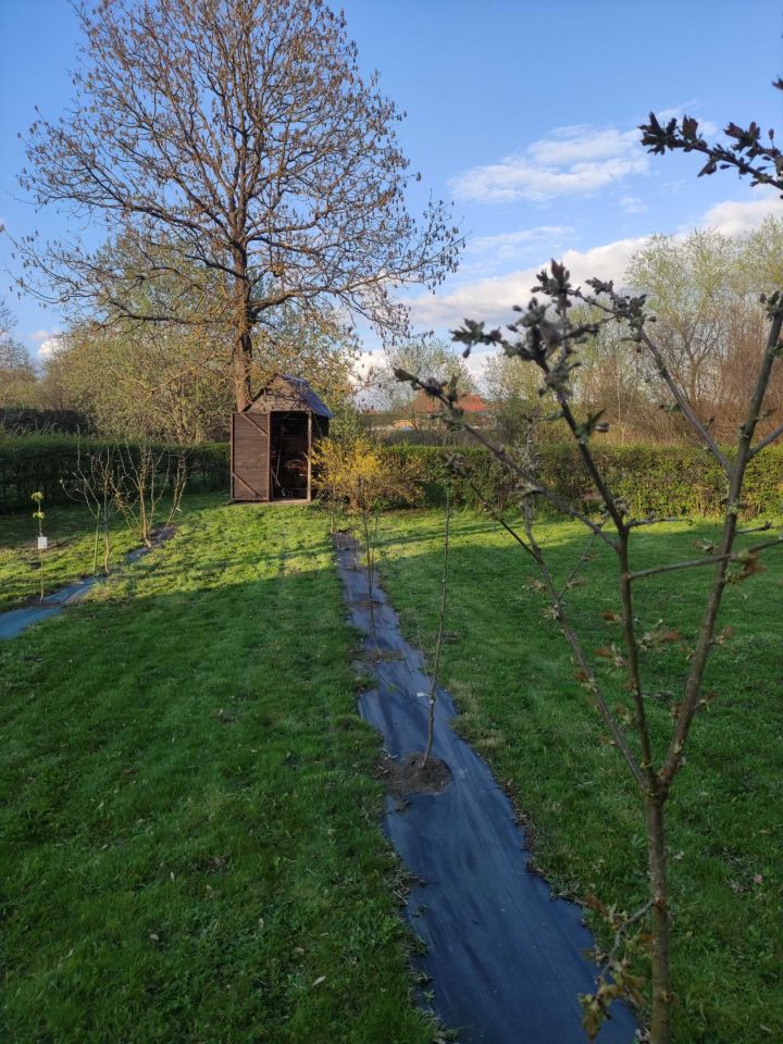 dom wolnostojący Olszanowo. Zdjęcie 3