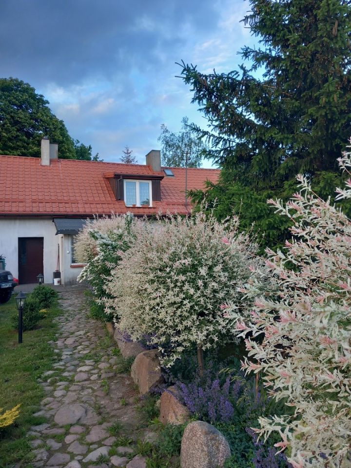 siedlisko, 8 pokoi Łupowo. Zdjęcie 17