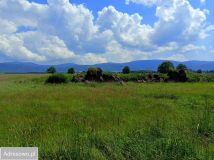 Działka rolna Domaszków, ul. Śnieżna. Zdjęcie 2