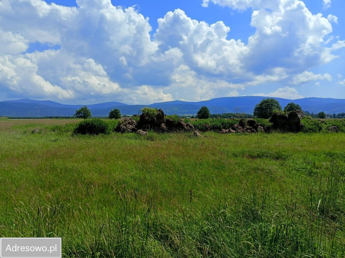 Działka rolna Domaszków, ul. Śnieżna. Zdjęcie 3