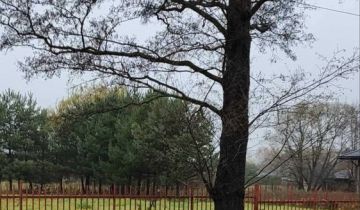 Działka budowlana Bartniki, ul. Turystyczna