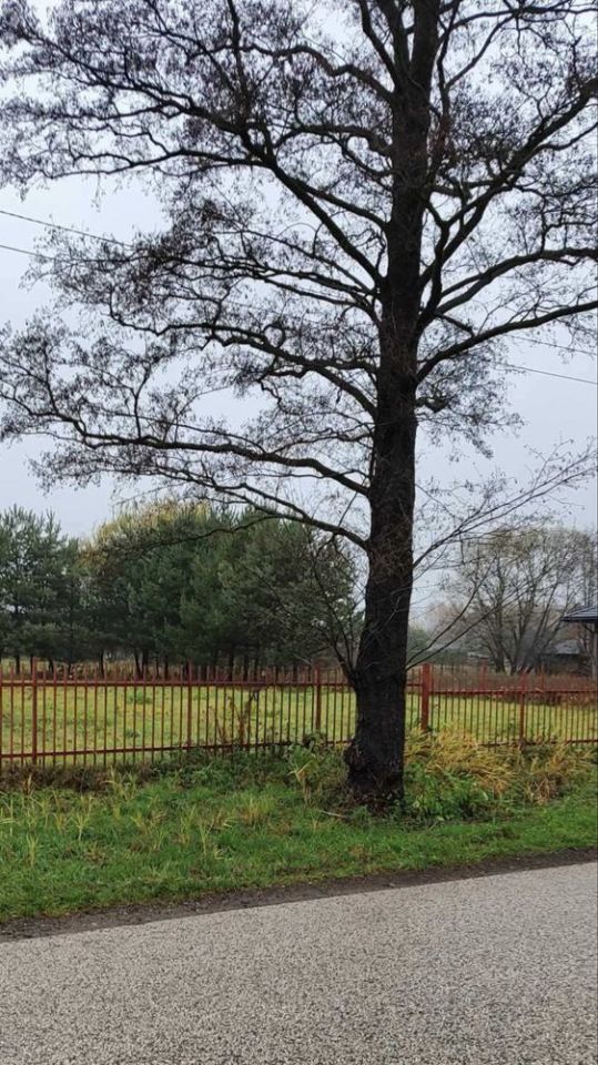 Działka budowlana Bartniki, ul. Turystyczna. Zdjęcie 2