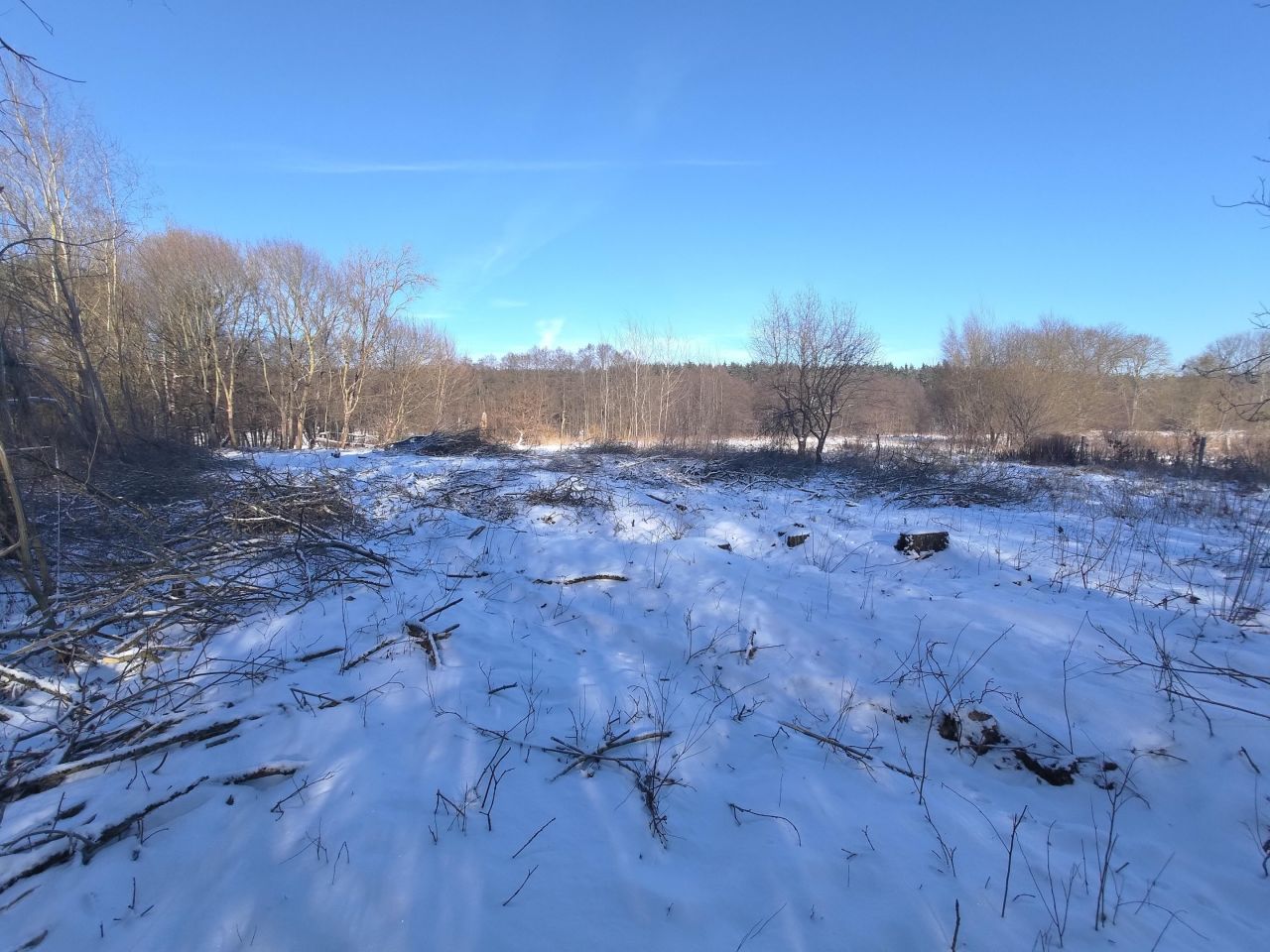 Działka budowlana Czapla. Zdjęcie 4