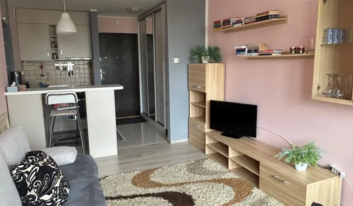Mieszkanie 1-pokojowe Gdańsk Żabianka, ul. Pomorska