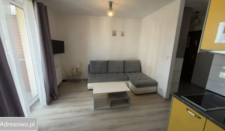 Mieszkanie 1-pokojowe Katowice Kostuchna, ul. Bażantów