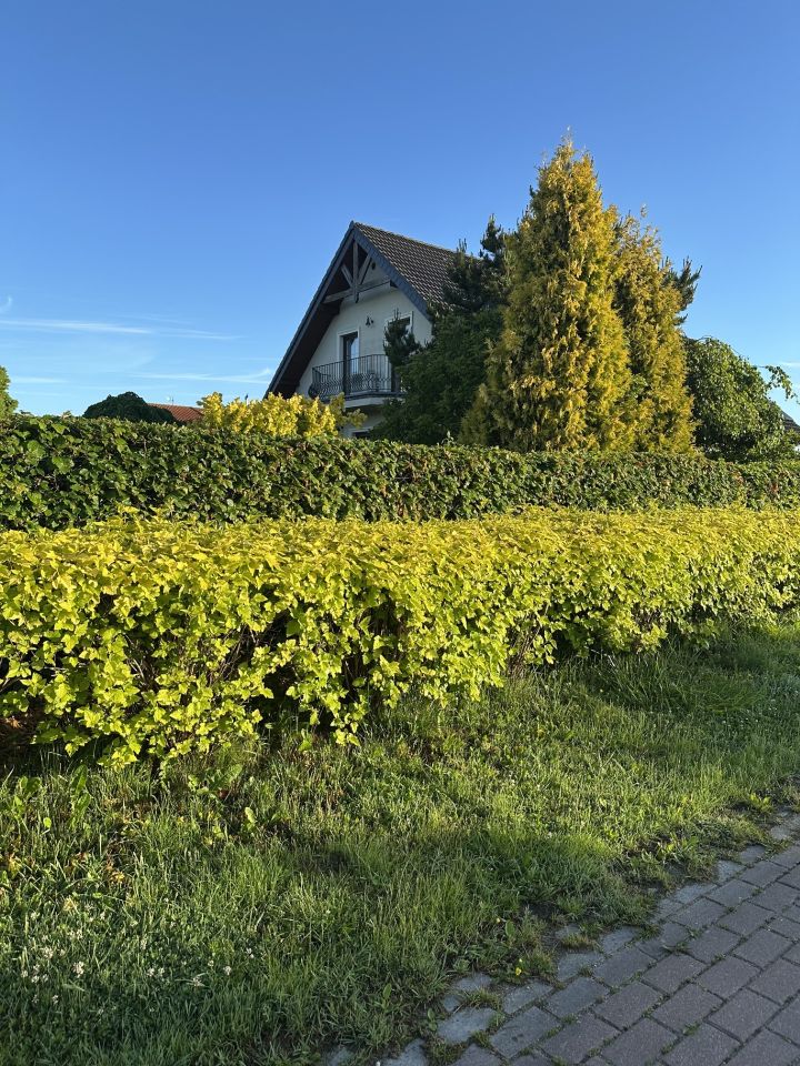 dom wolnostojący, 6 pokoi Bydlino, ul. Turkusowa. Zdjęcie 43