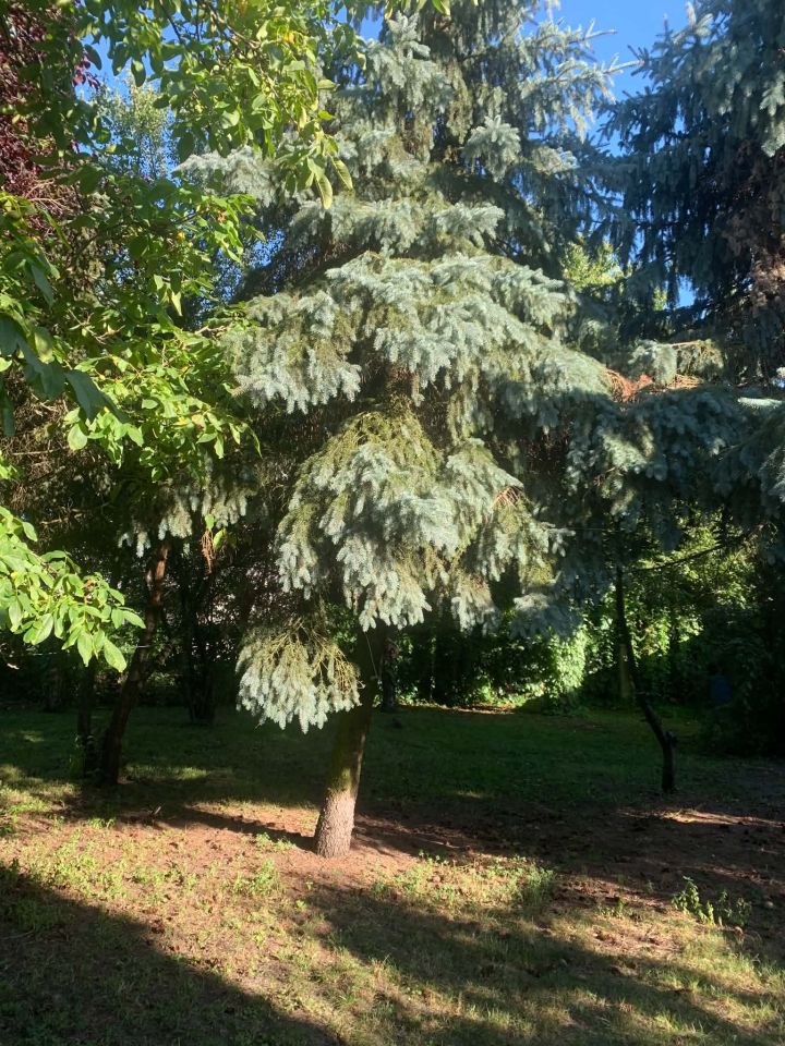 dom wolnostojący, 6 pokoi Brzoza, ul. Gajowa. Zdjęcie 24