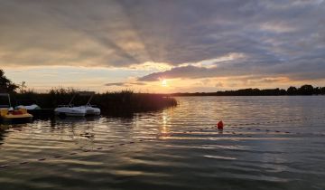 Lokal Boszkowo, Dominicka