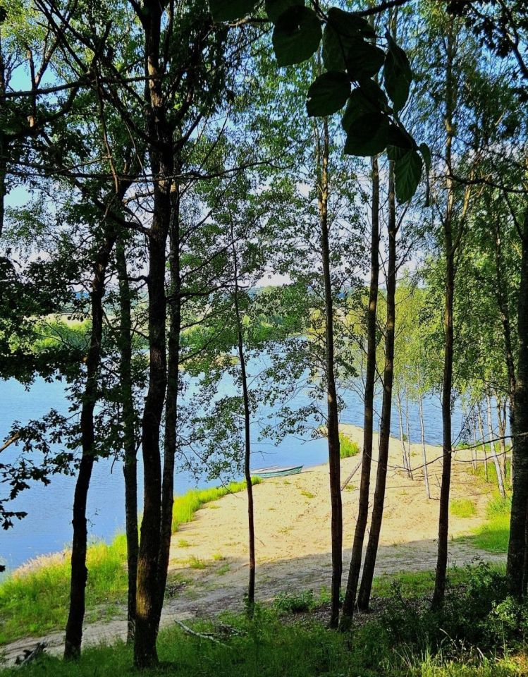 Działka budowlana Przęsin. Zdjęcie 4