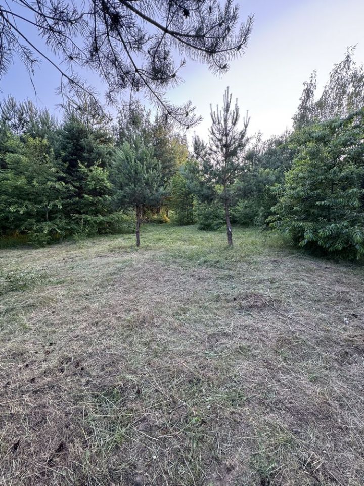 Działka rolna Piotrkowice. Zdjęcie 5