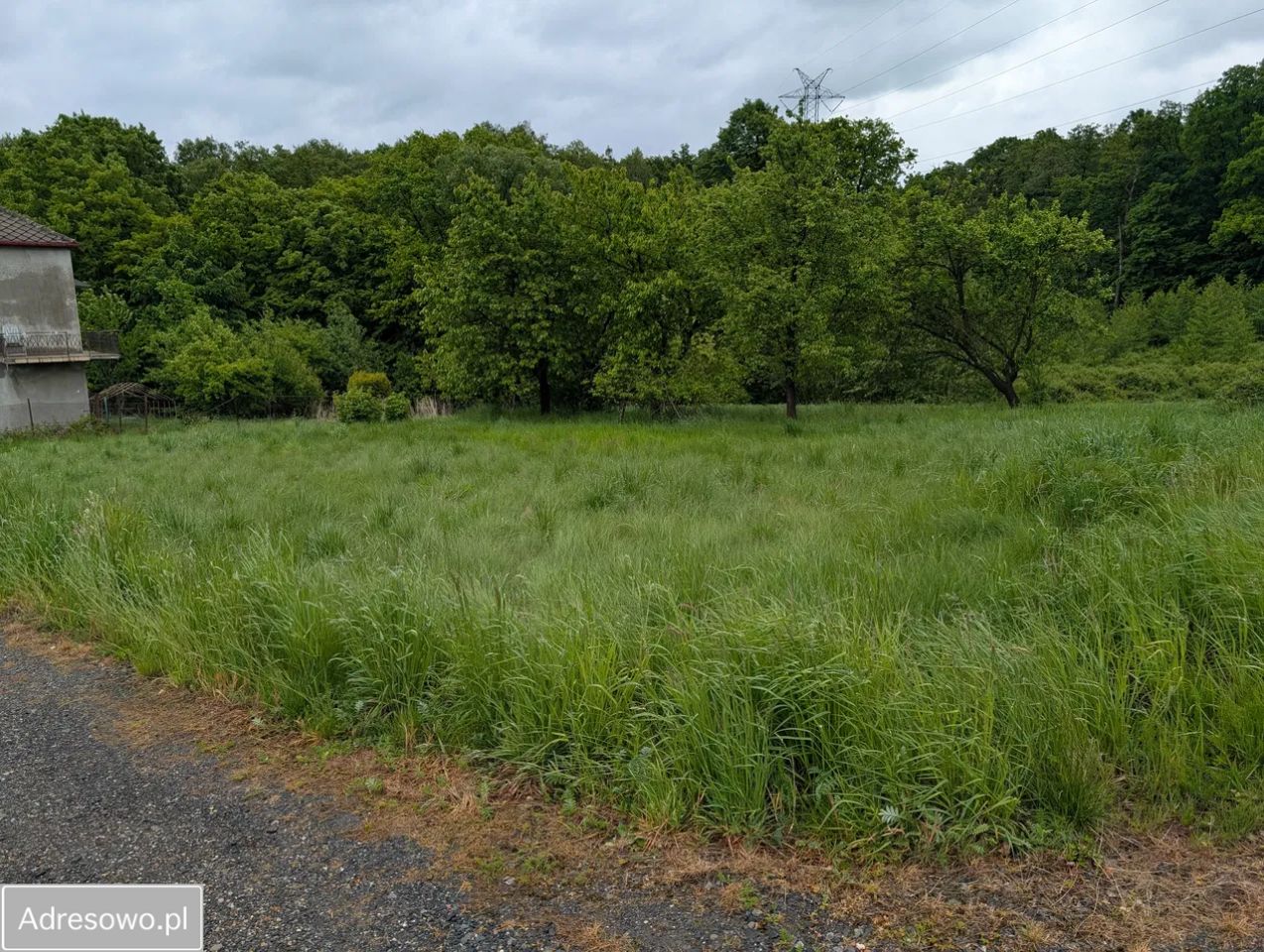 Działka rolna Mazańcowice. Zdjęcie 5