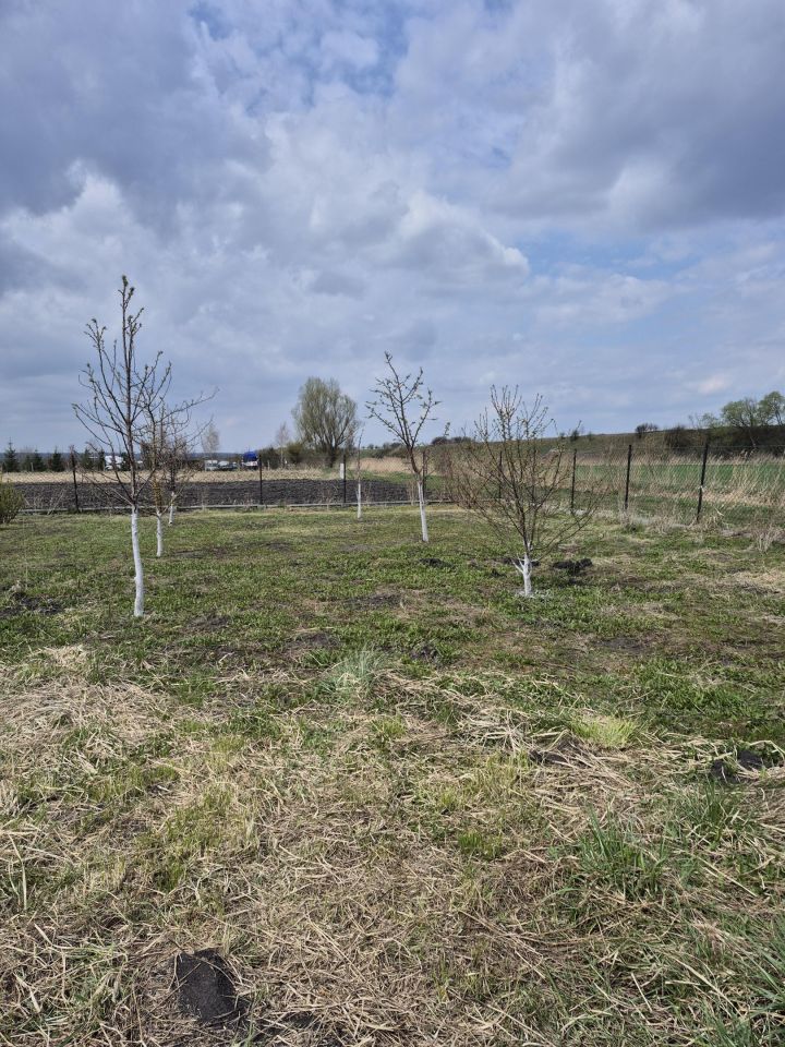 Działka rolna Białki. Zdjęcie 3