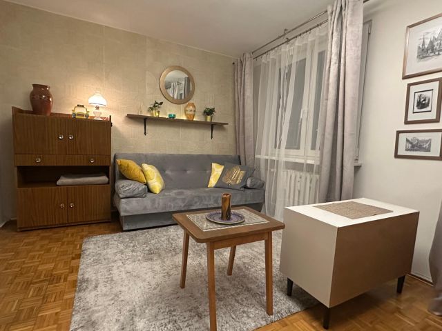 Mieszkanie 1-pokojowe Wrocław Stare Miasto, ul. Inowrocławska. Zdjęcie 18