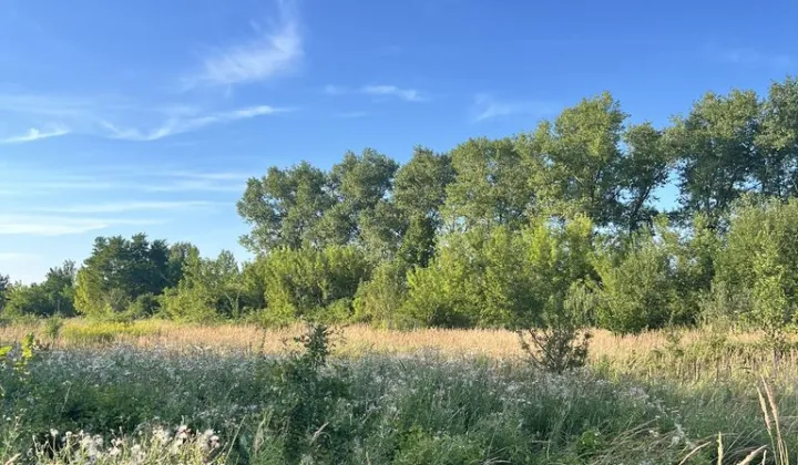 Działka budowlana Brzeziny-Kolonia