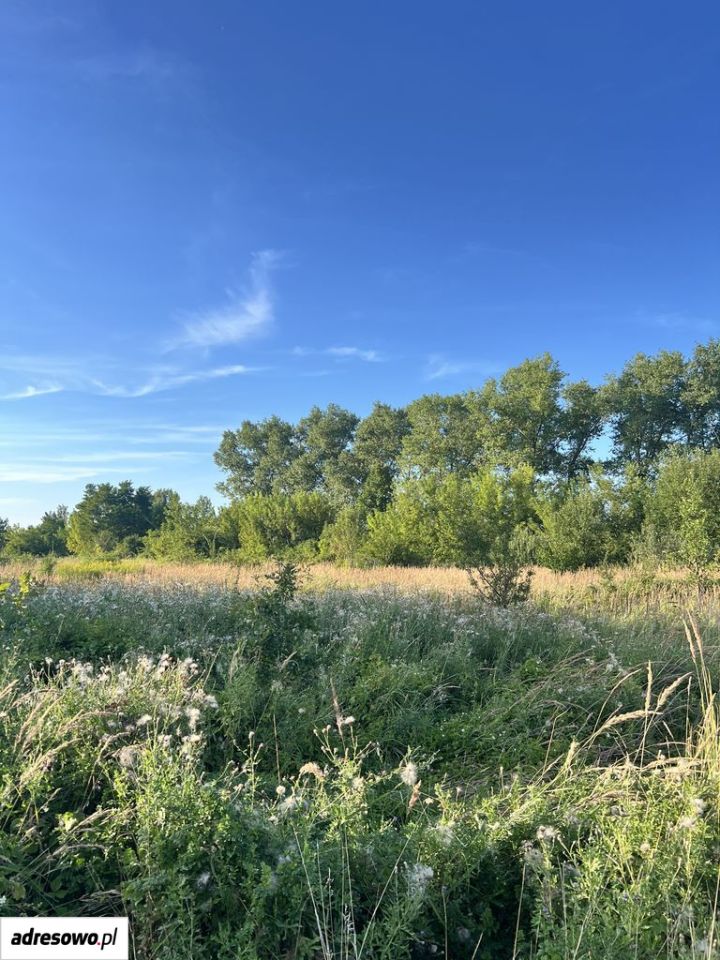 Działka budowlana Brzeziny-Kolonia. Zdjęcie 1