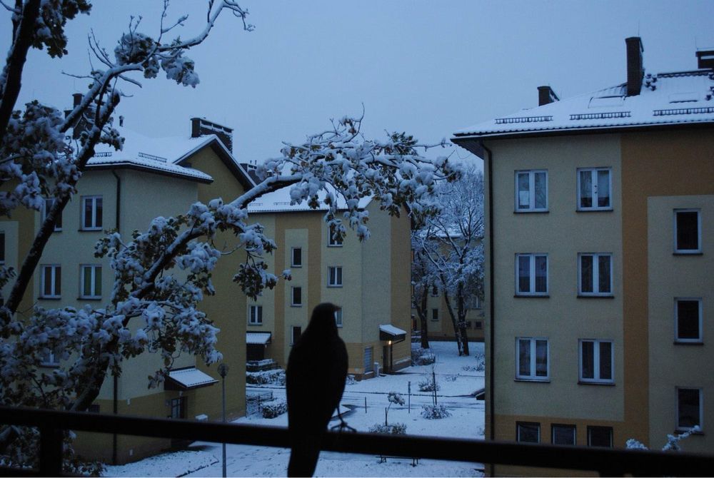 Mieszkanie 1-pokojowe Kraków Bieżanów, ul. Malachitowa. Zdjęcie 8