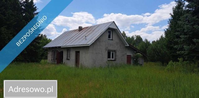 Działka siedliskowa Luta. Zdjęcie 1