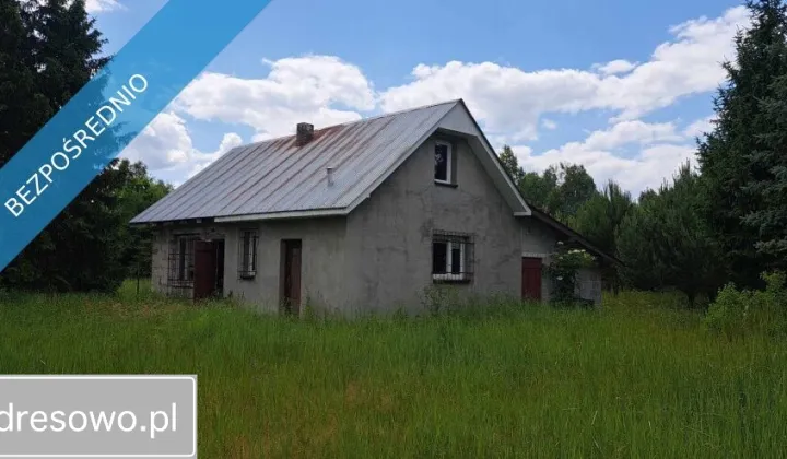 Działka siedliskowa Luta