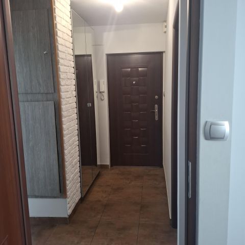 Mieszkanie 3-pokojowe Wrocław Gajowice, ul. Jemiołowa. Zdjęcie 2