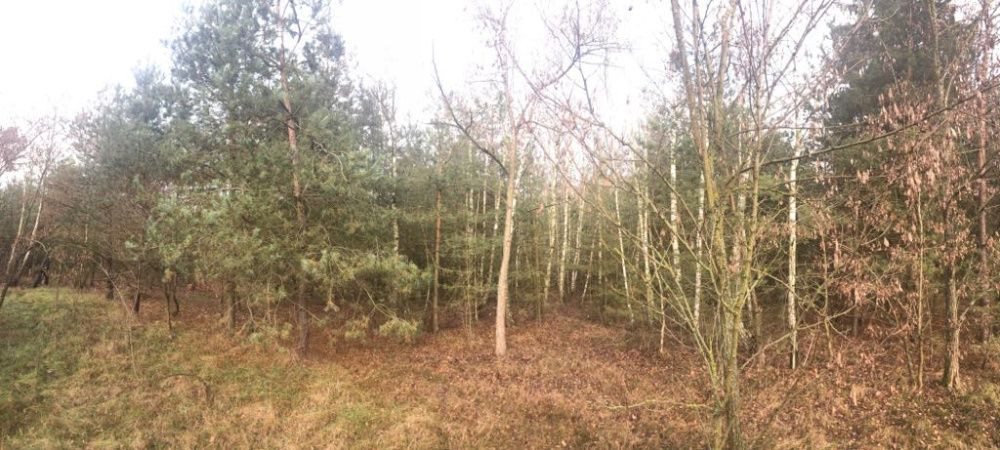 Działka budowlana Kobylin. Zdjęcie 3