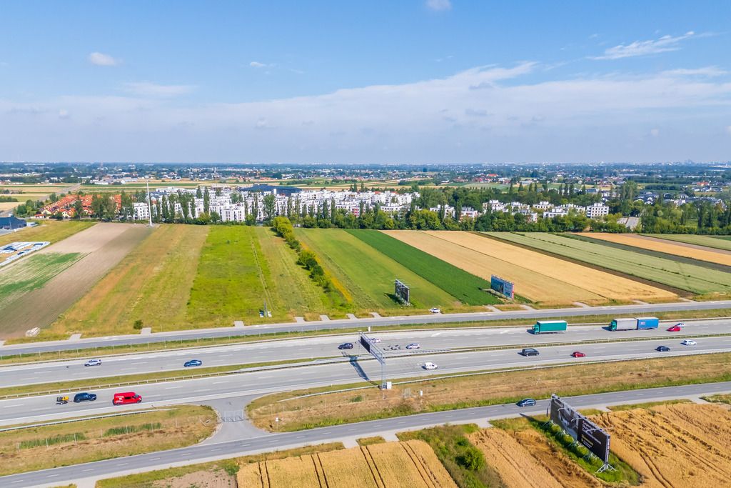 Działka inwestycyjna Zgorzała, ul. Wróbelka. Zdjęcie 6