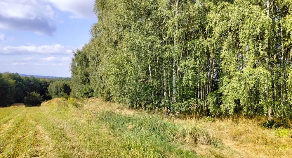 Działka budowlana Łaziska Górne Centrum. Zdjęcie 6