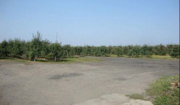 Działka rolno-budowlana Baranów Sandomierski