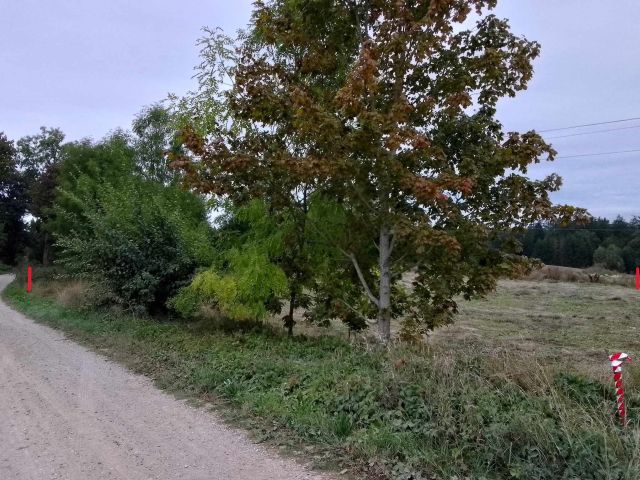 Działka budowlana Sulimy. Zdjęcie 1