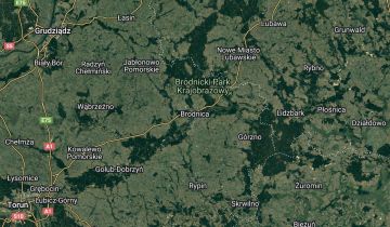 kamienica Brodnica