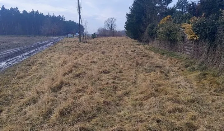 Działka budowlana Adamowo